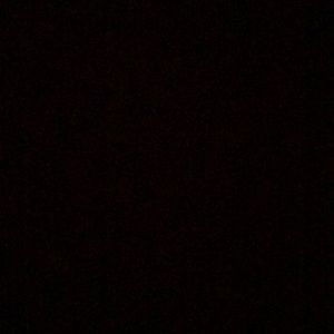 Meet your Posher, Timothy